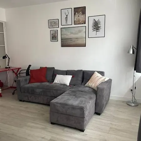 Appartamento 600m Gare Et 400m Gem: Lit Double, Wifi Fibre Grenoble